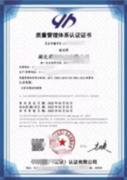 ISO9001質(zhì)量管理體系認(rèn)證